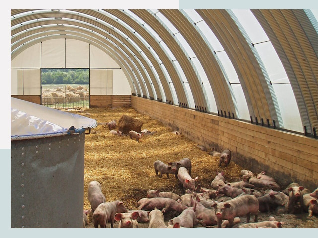 Строительство свинарников в Ейске