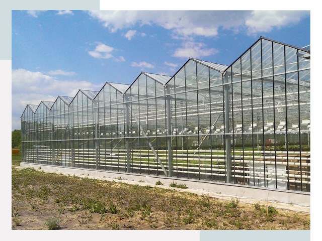 Строительство теплиц в Ейск от 618 руб. за м²